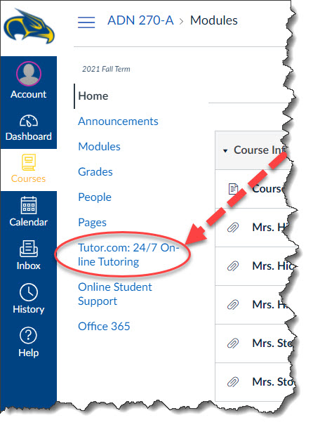 Online Tutoring Access